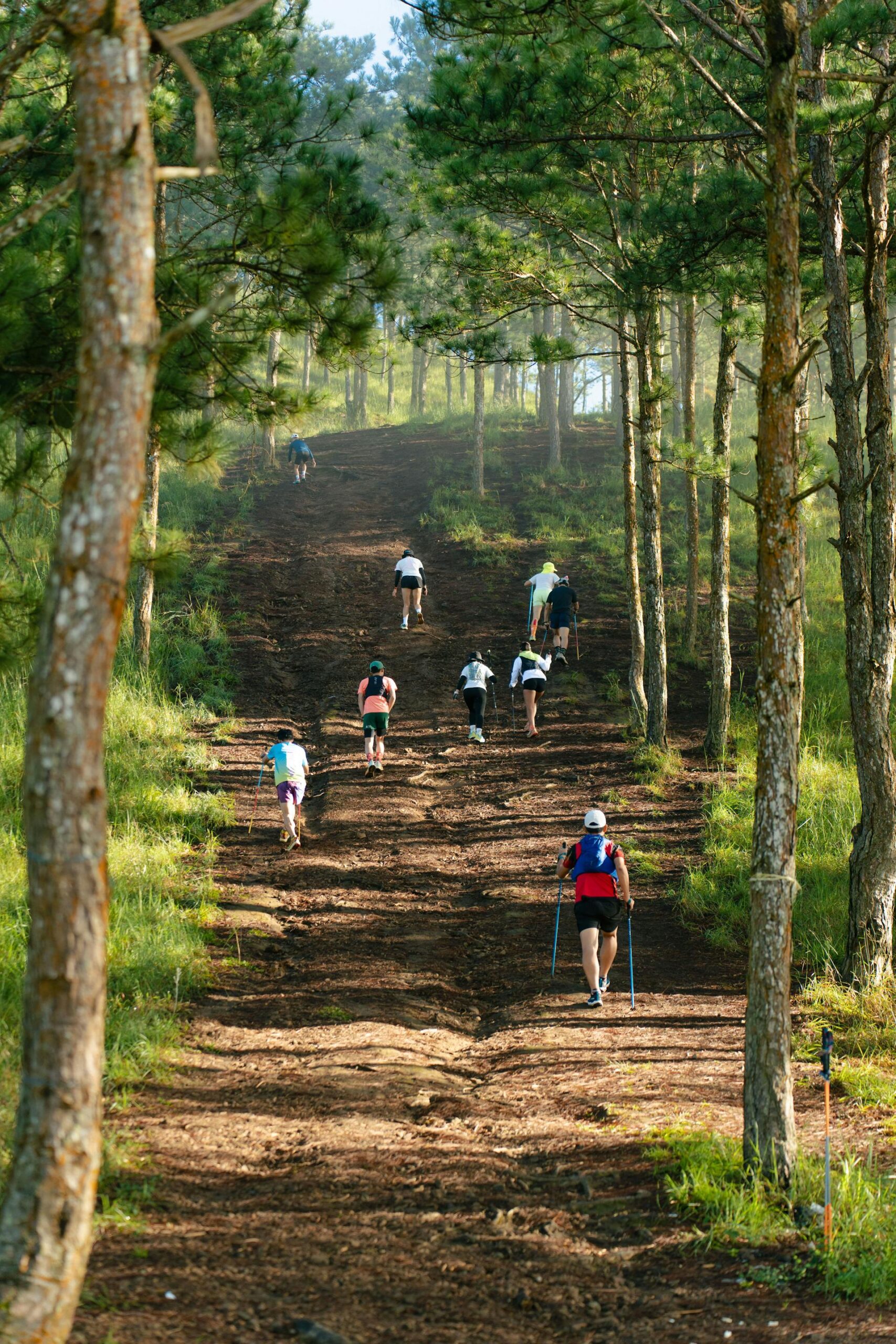 participants
